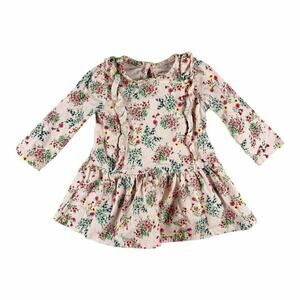 Gap Pink Floral Long Sleeve Ruffles Dress 6-12 months